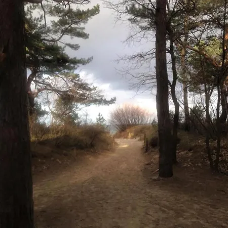 Kati בית נופש צינוביץ